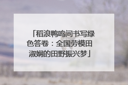 稻浪鸭鸣间书写绿色答卷：全国劳模田淑娴的田野振兴梦
