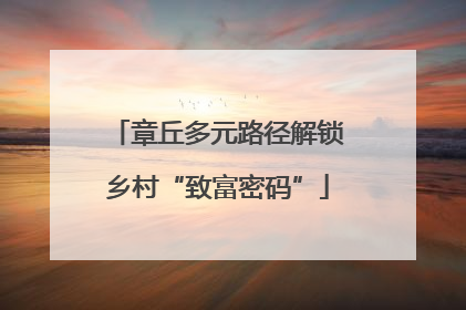章丘多元路径解锁乡村“致富密码”
