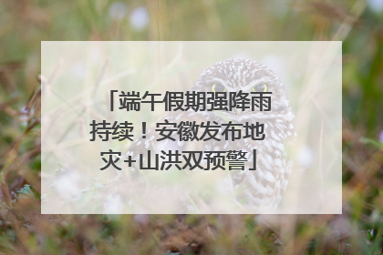 端午假期强降雨持续！安徽发布地灾+山洪双预警
