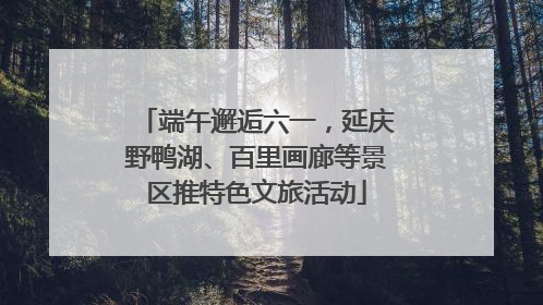 端午邂逅六一，延庆野鸭湖、百里画廊等景区推特色文旅活动