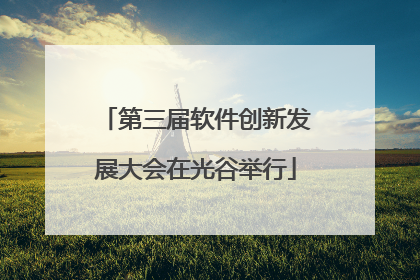 第三届软件创新发展大会在光谷举行