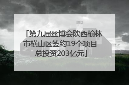 第九届丝博会陕西榆林市横山区签约19个项目 总投资203亿元