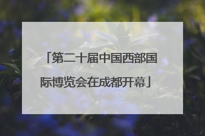 第二十届中国西部国际博览会在成都开幕