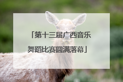 第十三届广西音乐舞蹈比赛圆满落幕