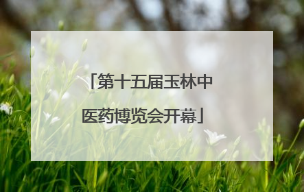 第十五届玉林中医药博览会开幕
