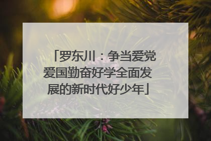 罗东川：争当爱党爱国勤奋好学全面发展的新时代好少年
