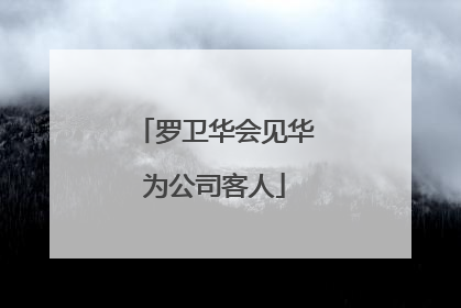 罗卫华会见华为公司客人