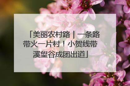 美丽农村路｜一条路带火一片村！小贺线带溪望谷成团出道