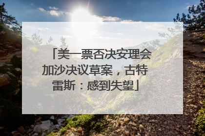 美一票否决安理会加沙决议草案，古特雷斯：感到失望