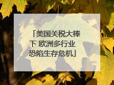 美国关税大棒下 欧洲多行业恐陷生存危机