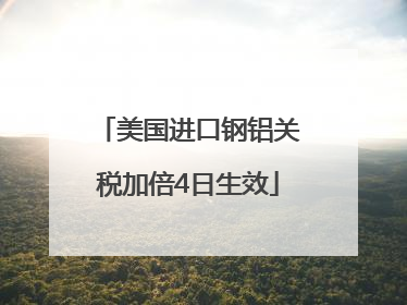 美国进口钢铝关税加倍4日生效