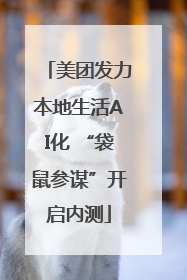 美团发力本地生活AI化 “袋鼠参谋”开启内测