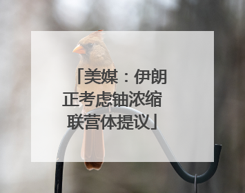 美媒：伊朗正考虑铀浓缩联营体提议
