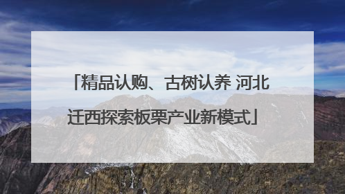 精品认购、古树认养 河北迁西探索板栗产业新模式