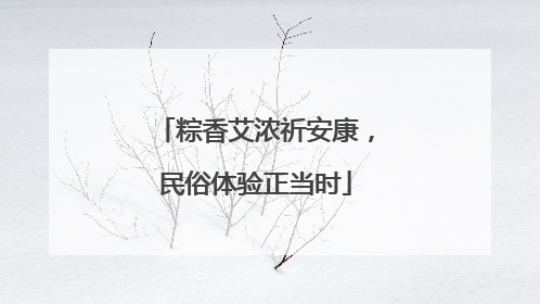粽香艾浓祈安康，民俗体验正当时