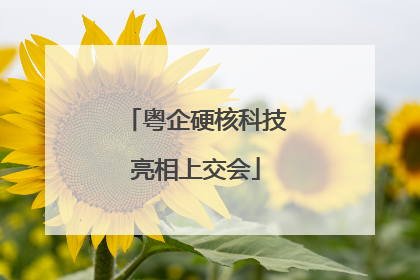 粤企硬核科技亮相上交会