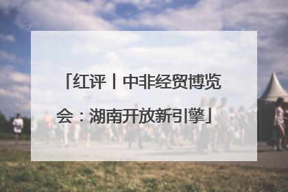 红评丨中非经贸博览会：湖南开放新引擎