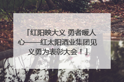 红阳映大义 勇者暖人心——红太阳酒业集团见义勇为表彰大会！