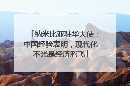 纳米比亚驻华大使：中国经验表明，现代化不光是经济腾飞