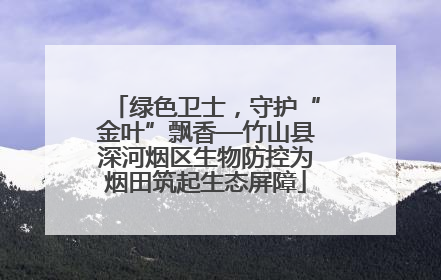 绿色卫士，守护“金叶”飘香—竹山县深河烟区生物防控为烟田筑起生态屏障