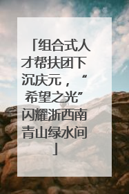 组合式人才帮扶团下沉庆元，“希望之光”闪耀浙西南青山绿水间