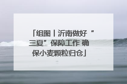 组图丨沂南做好“三夏”保障工作 确保小麦颗粒归仓