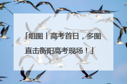 组图丨高考首日，多图直击衡阳高考现场！