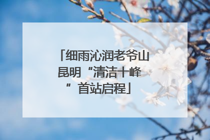 细雨沁润老爷山 昆明“清洁十峰”首站启程
