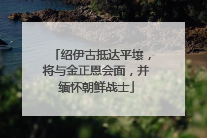 绍伊古抵达平壤，将与金正恩会面，并缅怀朝鲜战士