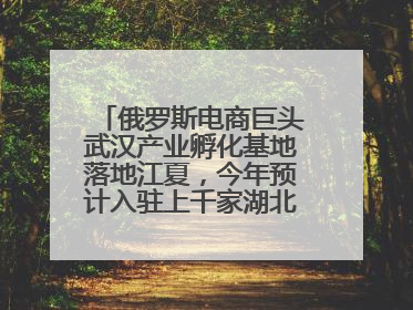 俄罗斯电商巨头武汉产业孵化基地落地江夏，今年预计入驻上千家湖北跨境卖家