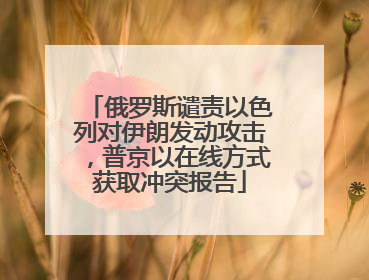俄罗斯谴责以色列对伊朗发动攻击，普京以在线方式获取冲突报告