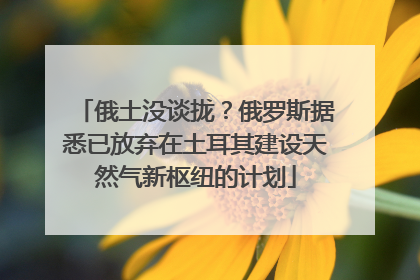 俄土没谈拢？俄罗斯据悉已放弃在土耳其建设天然气新枢纽的计划