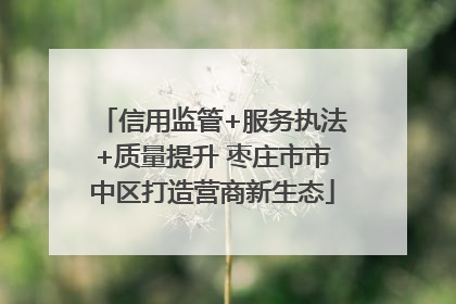 信用监管+服务执法+质量提升 枣庄市市中区打造营商新生态
