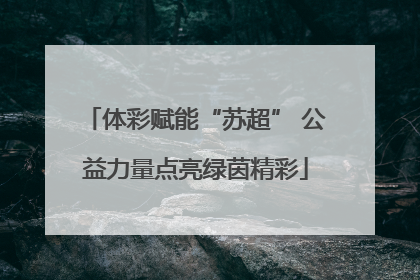 体彩赋能“苏超” 公益力量点亮绿茵精彩
