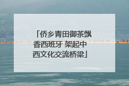 侨乡青田御茶飘香西班牙 架起中西文化交流桥梁