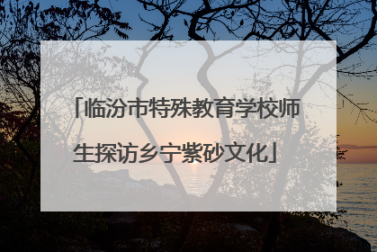 临汾市特殊教育学校师生探访乡宁紫砂文化