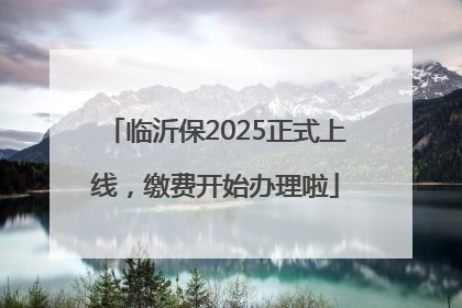 临沂保2025正式上线，缴费开始办理啦