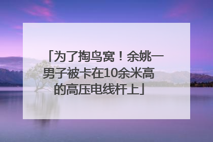 为了掏鸟窝！余姚一男子被卡在10余米高的高压电线杆上