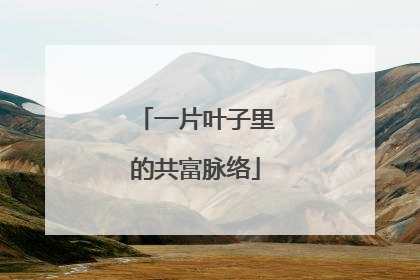 一片叶子里的共富脉络