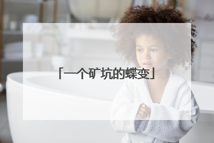 一个矿坑的蝶变
