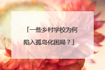 一些乡村学校为何陷入孤岛化困局？