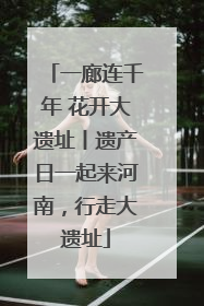 一廊连千年 花开大遗址丨遗产日一起来河南，行走大遗址