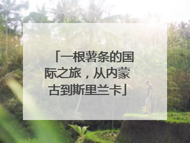 一根薯条的国际之旅，从内蒙古到斯里兰卡