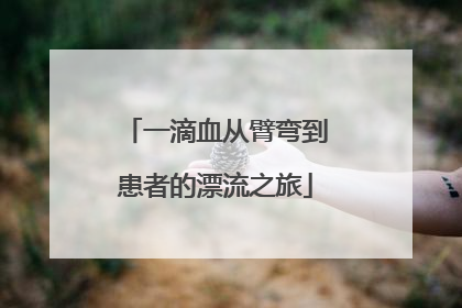 一滴血从臂弯到患者的漂流之旅