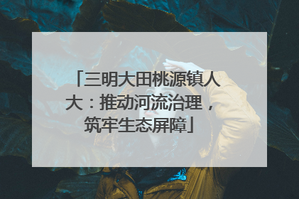 三明大田桃源镇人大：推动河流治理，筑牢生态屏障