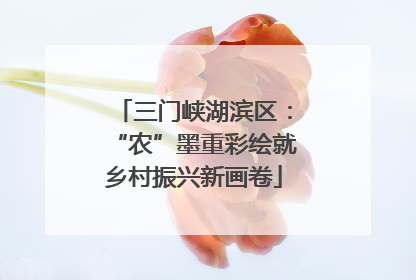 三门峡湖滨区：“农”墨重彩绘就乡村振兴新画卷