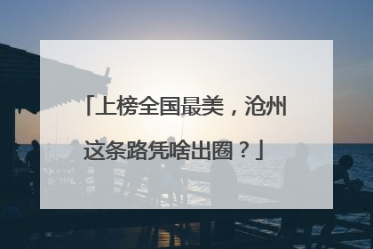 上榜全国最美，沧州这条路凭啥出圈？