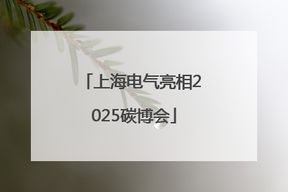 上海电气亮相2025碳博会