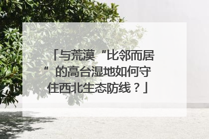 与荒漠“比邻而居”的高台湿地如何守住西北生态防线？