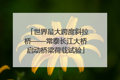世界最大跨度斜拉桥——常泰长江大桥启动桥梁荷载试验